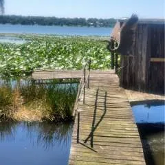 Chris And Dee .... photo on Jungo Live