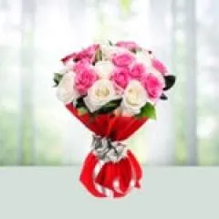 Ameer44 photo on Jungo Live