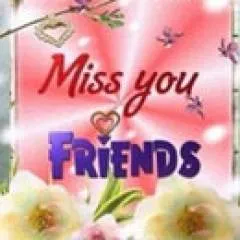 Ameer44 photo on Jungo Live