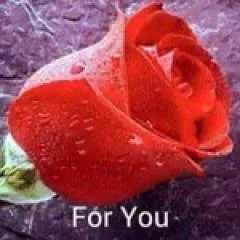 Ameer44 photo on Jungo Live