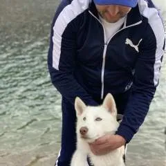 Ve photo on Jungo Live