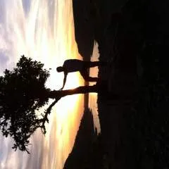 Mario.... photo on Jungo Live