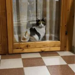 Joungv photo on Jungo Live