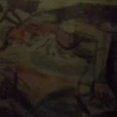 Jorgo photo on Jungo Live