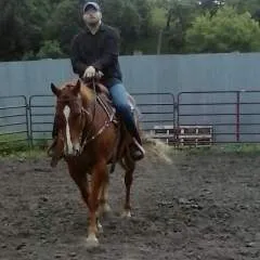 Frostie photo on Jungo Live