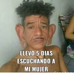 Chocolate photo on Jungo Live