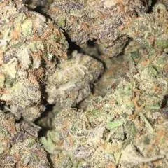 Justtrying2fuck photo on Jungo Live