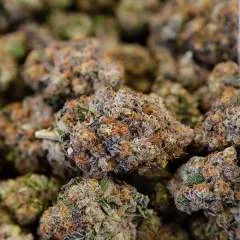 Justtrying2fuck photo on Jungo Live