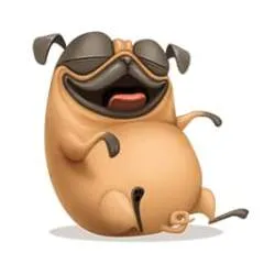 Snoopy photo on Jungo Live