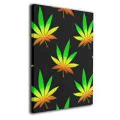 Jim photo on Jungo Live