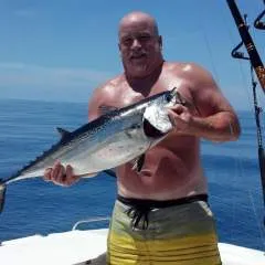 Big Dave Georgia photo on Jungo Live