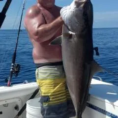 Big Dave Georgia photo on Jungo Live