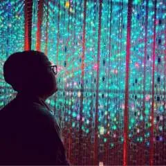 Guest photo on Jungo Live