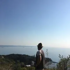 Dardex photo on Jungo Live