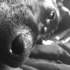 Goodlovin69 photo on Jungo Live