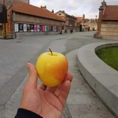 Tuff photo on Jungo Live