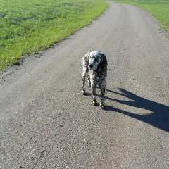 Jenny photo on Jungo Live