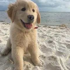 Humphrey D photo on Jungo Live