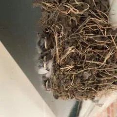 Andy photo on Jungo Live