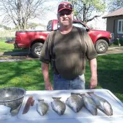 Hikkok48 photo on Jungo Live