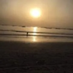 Guest photo on Jungo Live