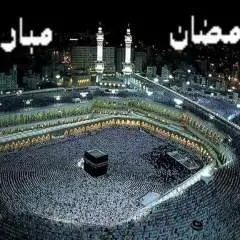 Guest photo on Jungo Live