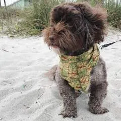 Angelina T photo on Jungo Live