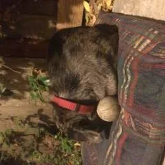 Georgesjuls photo on Jungo Live