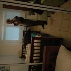 Rj photo on Jungo Live