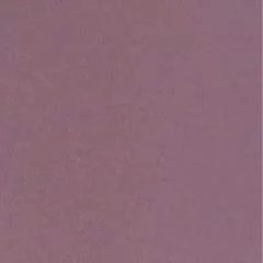 Guest photo on Jungo Live