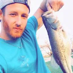 Bravemansugar photo on Jungo Live