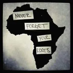 Hotdog photo on Jungo Live