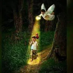 Hotdog photo on Jungo Live