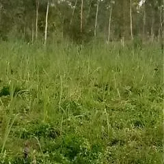 Arjun Yadav photo on Jungo Live