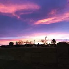 Romeo........ photo on Jungo Live