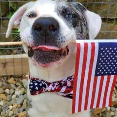 Alexx37 photo on Jungo Live