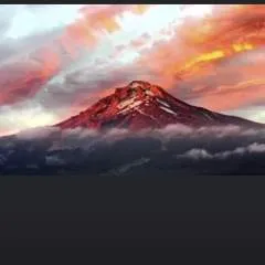 Luigi photo on Jungo Live