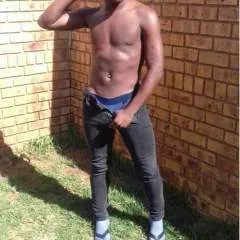 Milo photo on Jungo Live