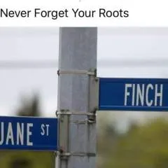 Pook photo on Jungo Live