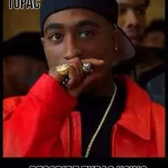 Pook photo on Jungo Live