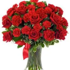 Micky photo on Jungo Live