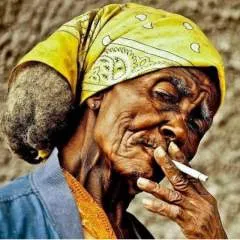 Wilson photo on Jungo Live