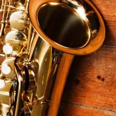 Prince photo on Jungo Live