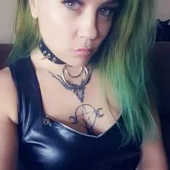 Kitten photo on Jungo Live