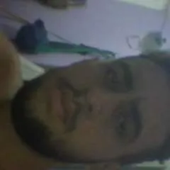 Maia photo on Jungo Live