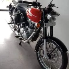 Guest photo on Jungo Live