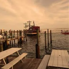 Guest photo on Jungo Live