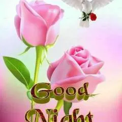 Venky Venky photo on Jungo Live