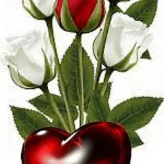 Philip Nelson photo on Jungo Live