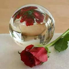 Philip Nelson photo on Jungo Live